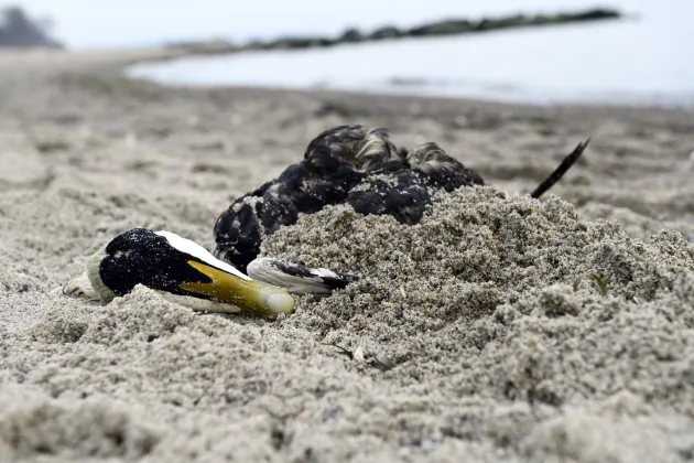 Image: IMAGO / Christian Ohde