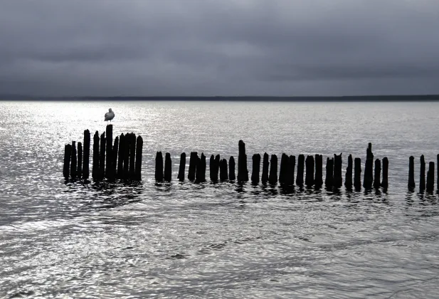 Image: IMAGO / Karina Hessland