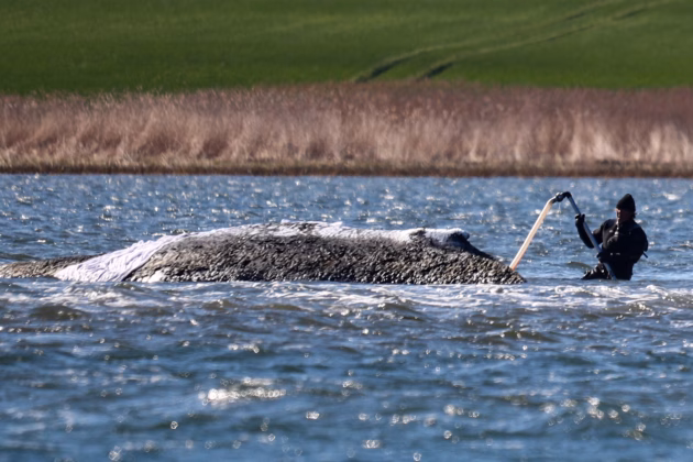 Image: IMAGO / SNS UG