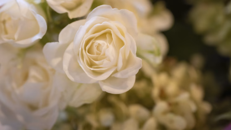 Image: IMAGO / imagebroker