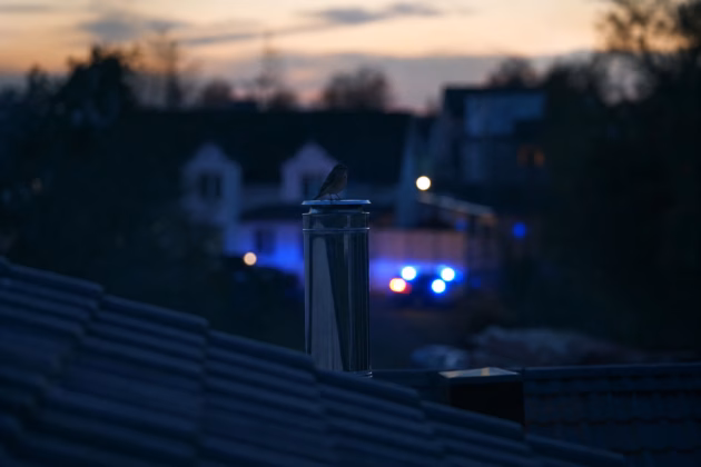 Vogel auf dem Abgasrohr eines Wohnhauses, im Hintergrund Blaulicht. Symbolbild (KI-generiert)